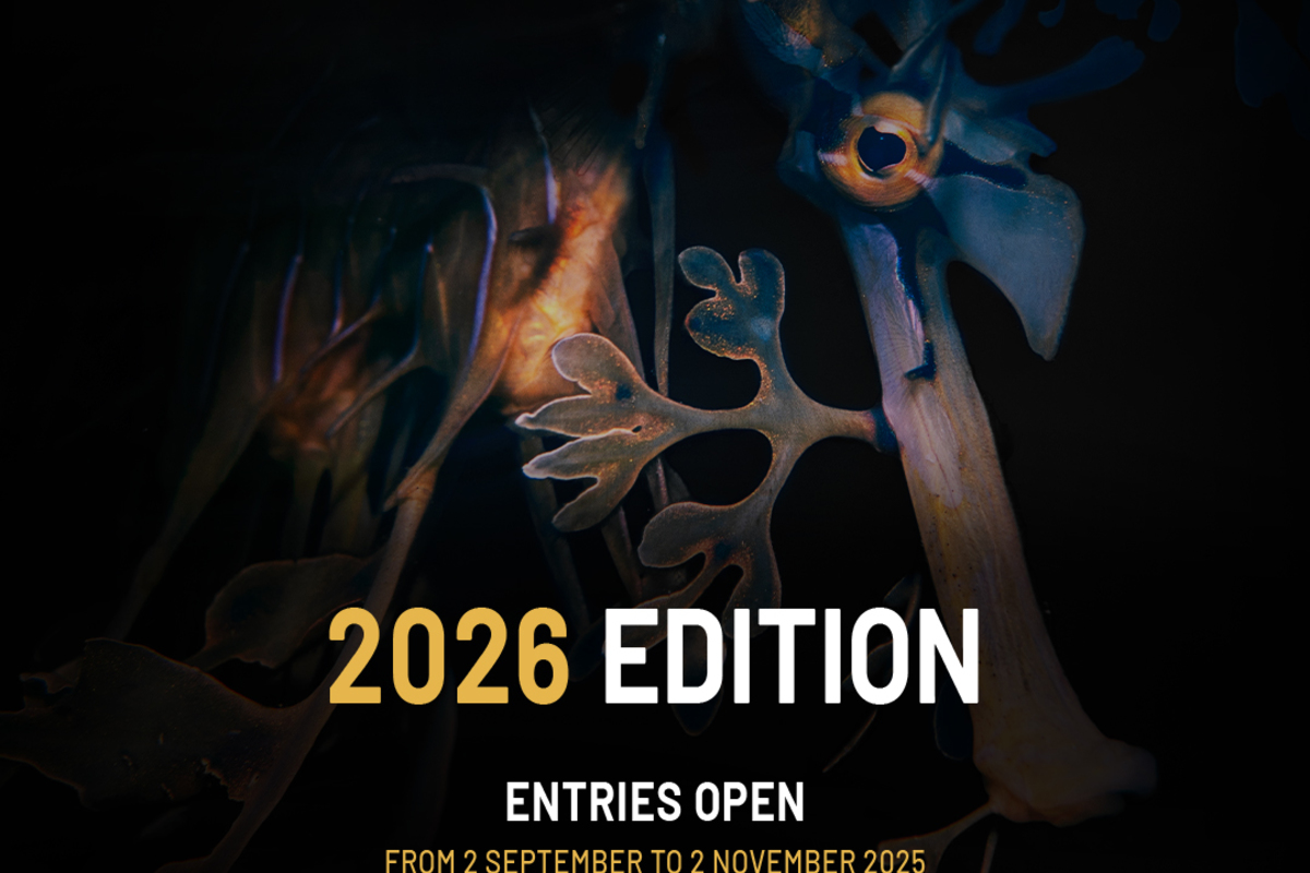 The Prince Albert II of Monaco Foundation launches the call for entries for its 2026 Environmental Photography Award