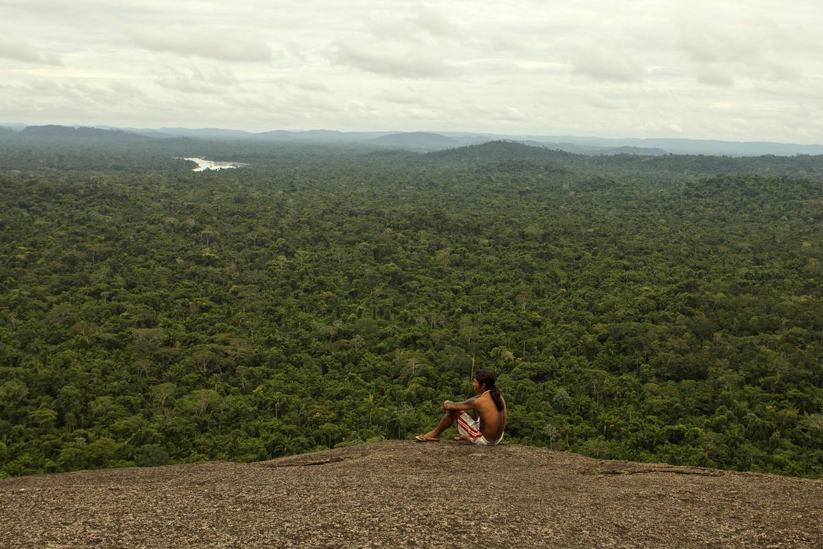 La Fondation Prince Albert II de Monaco annonce trois nouveaux partenariats à l’approche de la Journée internationale des forêts