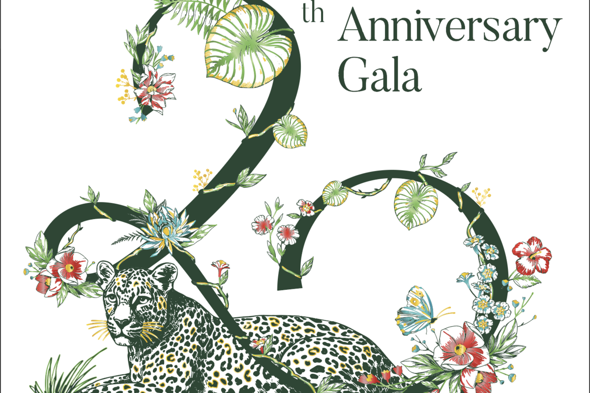 Un gala exceptionnel pour marquer 20 ans d'action en faveur de la santé planétaire