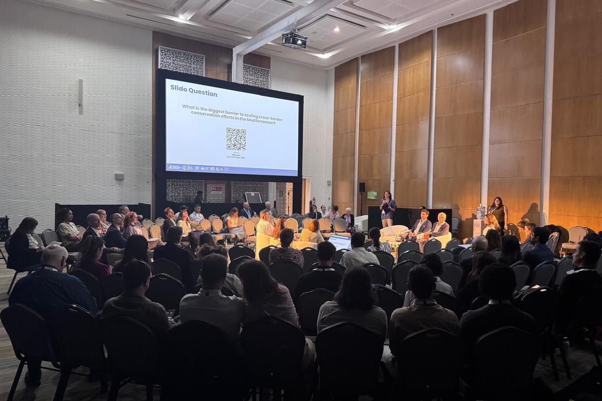La Fondation Prince Albert II de Monaco prend part au Congrès mondial de la nature de l’UICN à Abu Dhabi