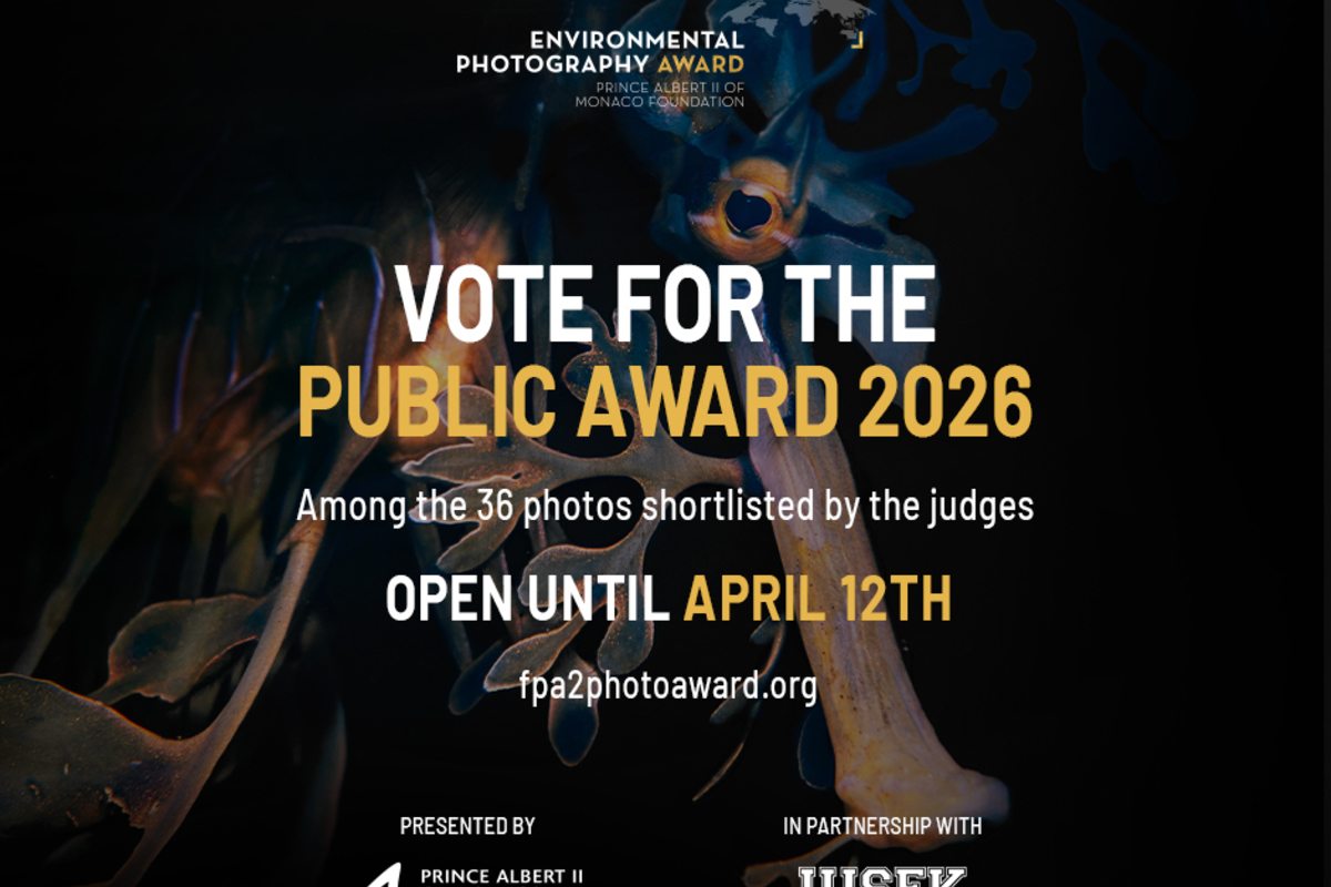 Les votes sont ouverts pour le Prix de Photographie Environnementale 2026