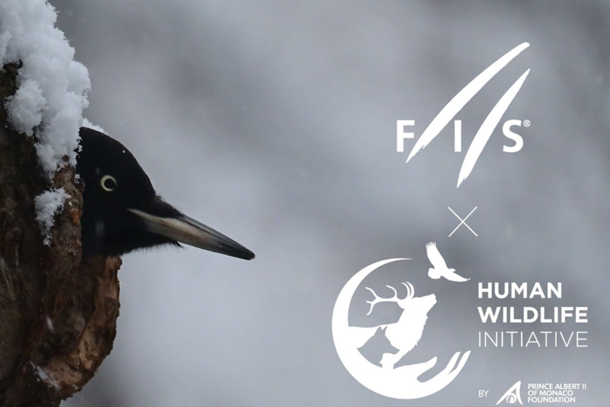 La Fondation Prince Albert II de Monaco annonce un partenariat avec la FIS pour promouvoir la biodiversité dans les sports de neige