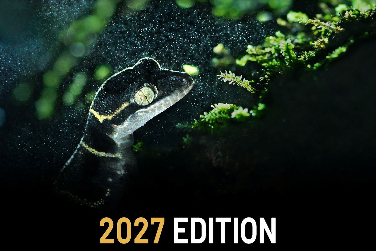 La Fondation Prince Albert II de Monaco lance le concours de son Prix de Photographie Environnementale 2027