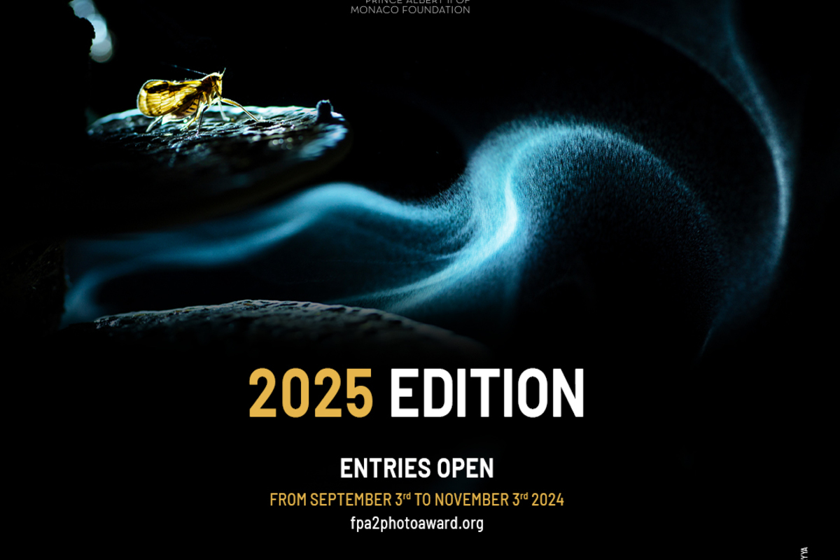 Entries open for the 5th edition of the Environmental Photography Award