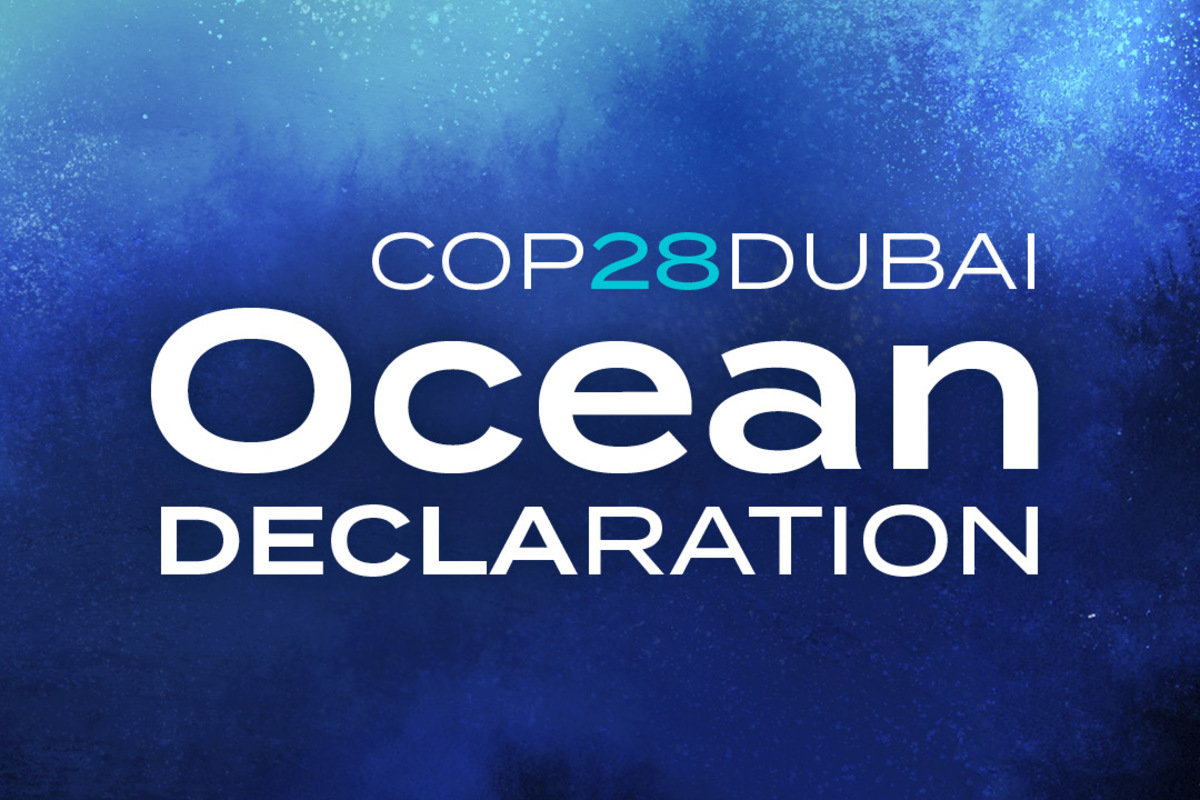 Ocean Pavilion Partners Unveil COP28 Dubai Ocean Declaration in Advance of UN Climate Conference