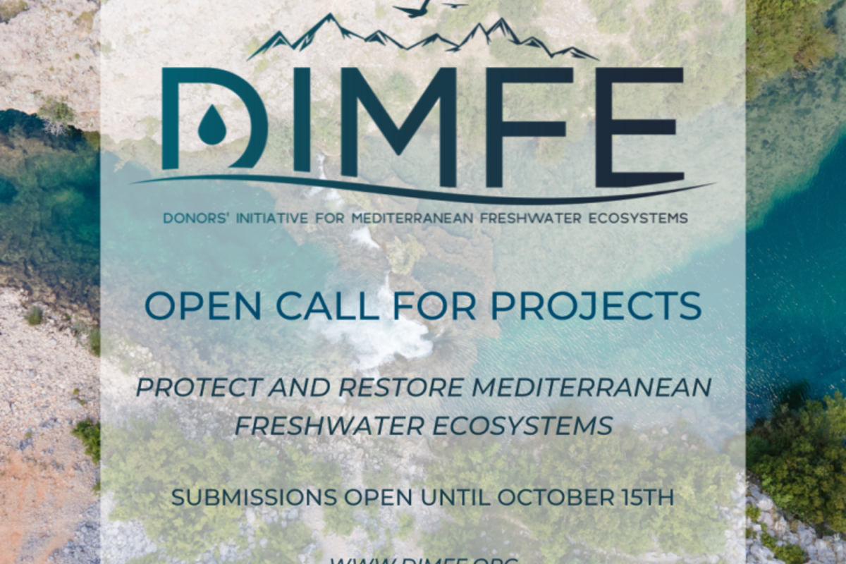 Ouverture de l’Appel à projets 2023 de la Donors’ Initiative for Mediterranean Freshwater Ecosystems