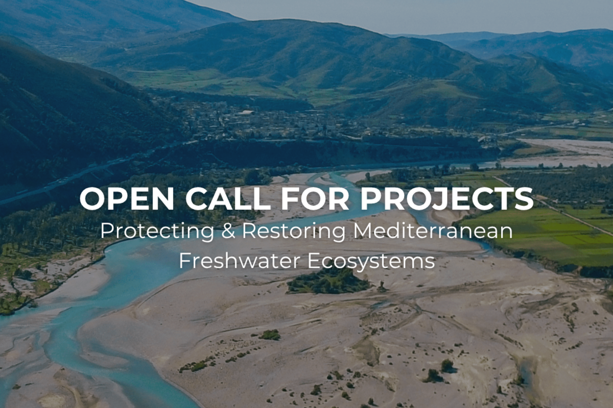 Opening of the Donors’ Initiative for Mediterranean Freshwater Ecosystems Call for Projects 2024