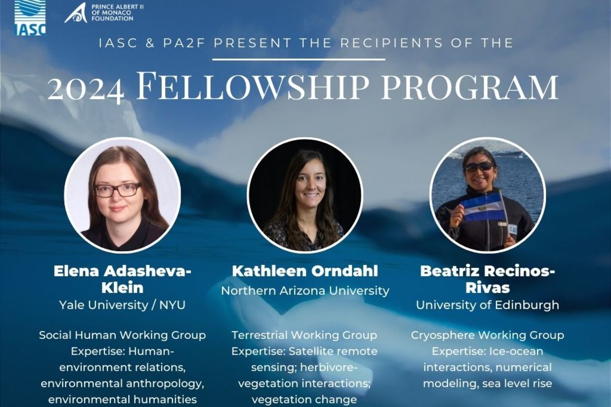 Unveiling the 2024 PA2F-IASC Fellowship Program Awardees
