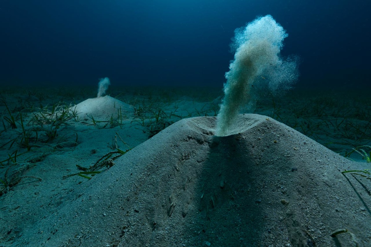 The winners of the 2025 Environmental Photography Award revealed
