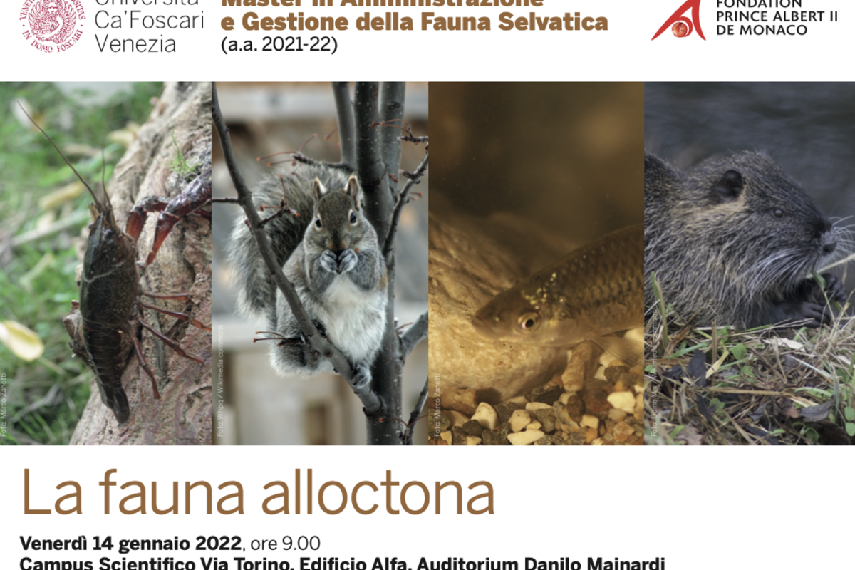 The Prince Albert II of Monaco Foundation - Roma Ets offers Scholarships for the Master's Course in Wildlife Management and Administration at the Ca' Foscari University in Venice