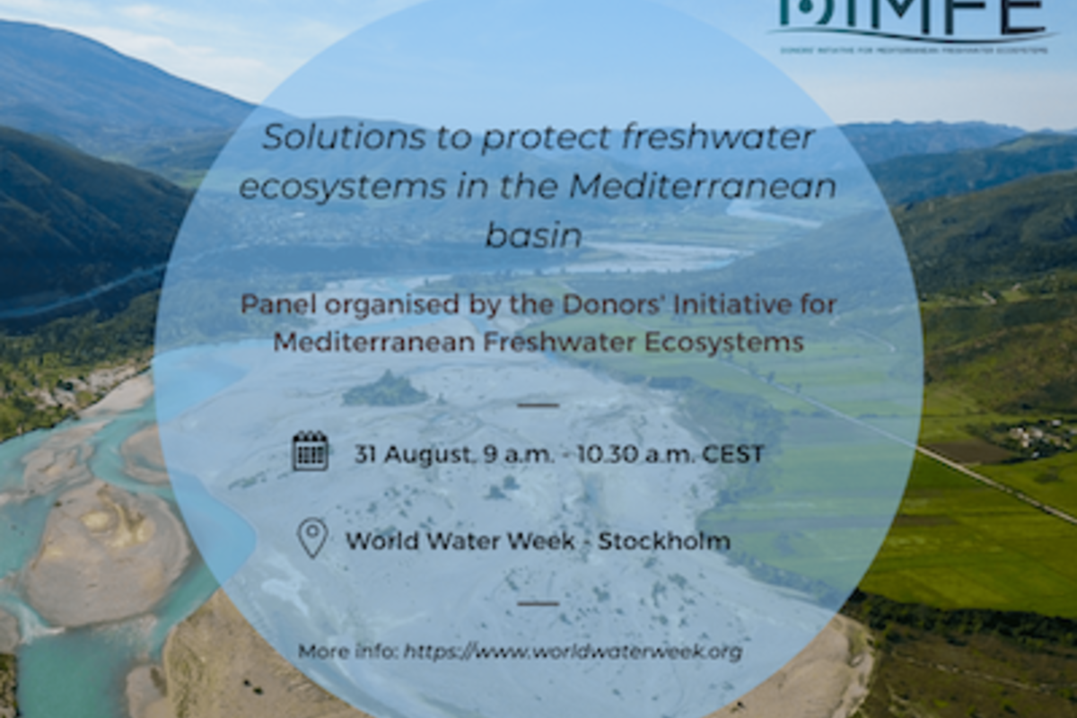 L'intiative DIMFE organise un panel lors de la World Water Week 2022, à Stockholm