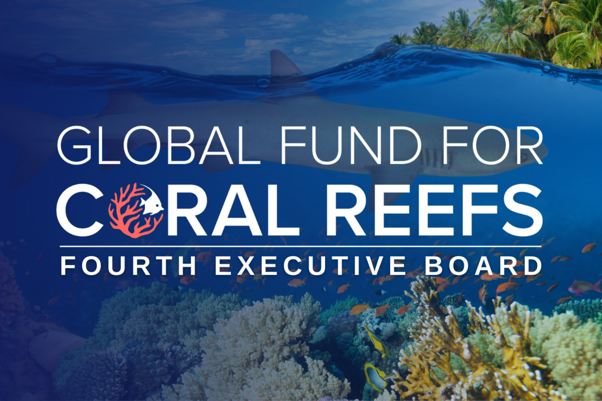 Global Fund for Coral Reefs' Executive Board Approves Over $10 Million USD for Reef Conservation