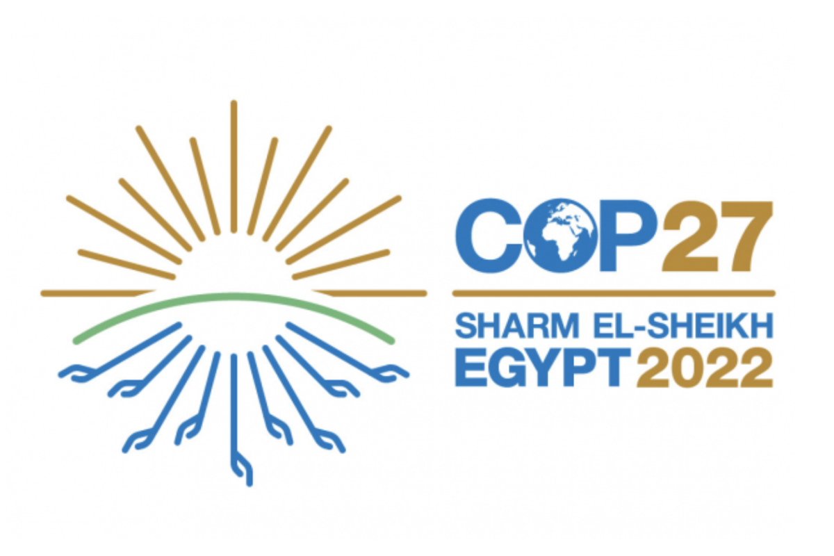 Engagement pour la préservation de la Méditerranée et blue innovation au cœur de la présence de la Fondation lors de la prochaine COP27 en Egypte