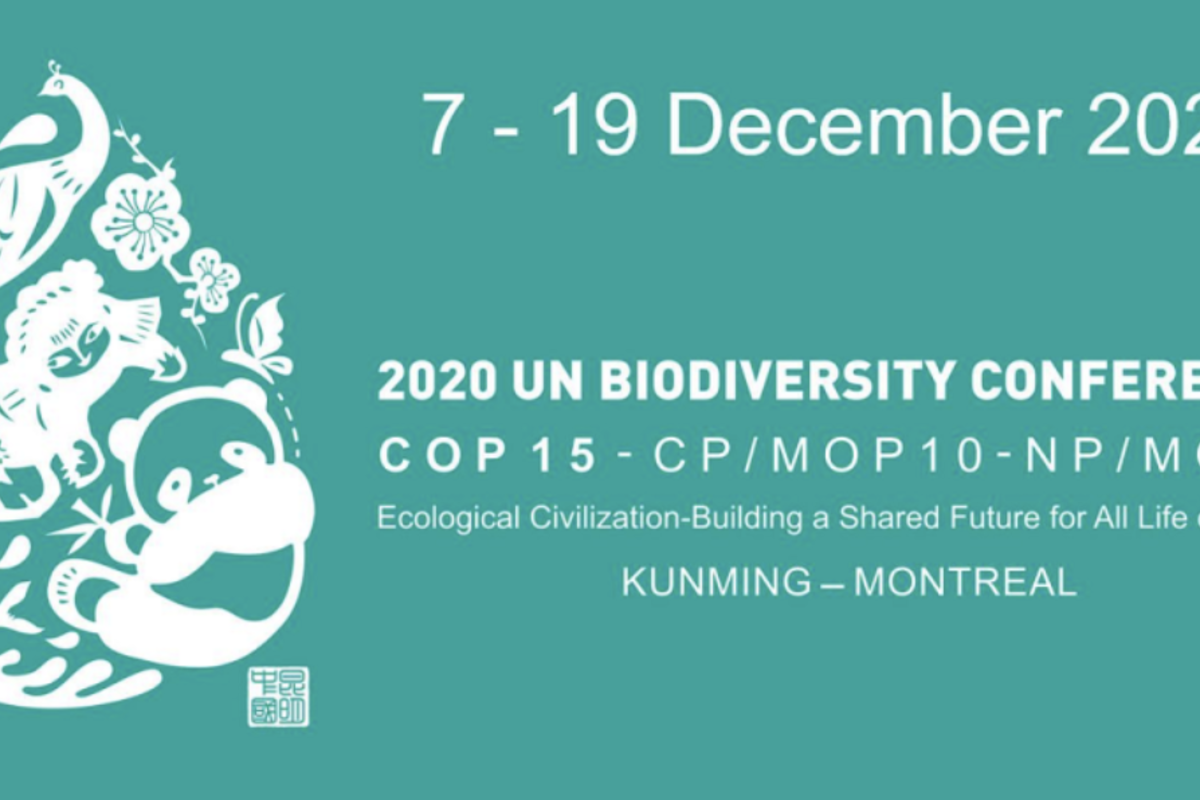 COP15, a historic agreement for biodiversity