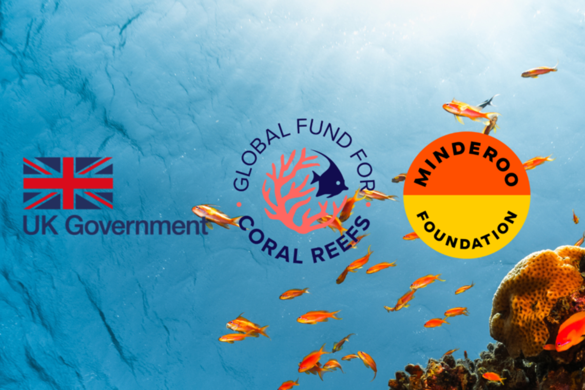 Major New Commitments from the United Kingdom and Minderoo Foundation for Coral Reefs