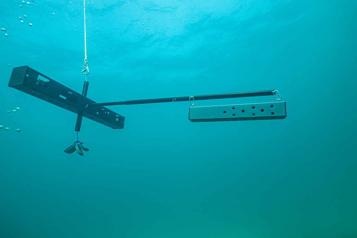 Prince Albert II of Monaco Foundation and Community Jameel partner with the Monégasque Association for the Protection of Nature and Blue Abacus to deploy remote underwater systems to measure marine wildlife in Mediterranean