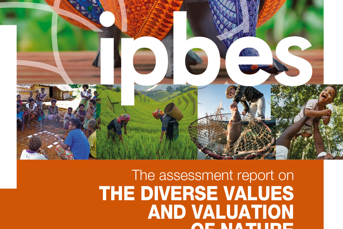 IPBES releases the Assessment Report on Diverse Values and Valuation of Nature