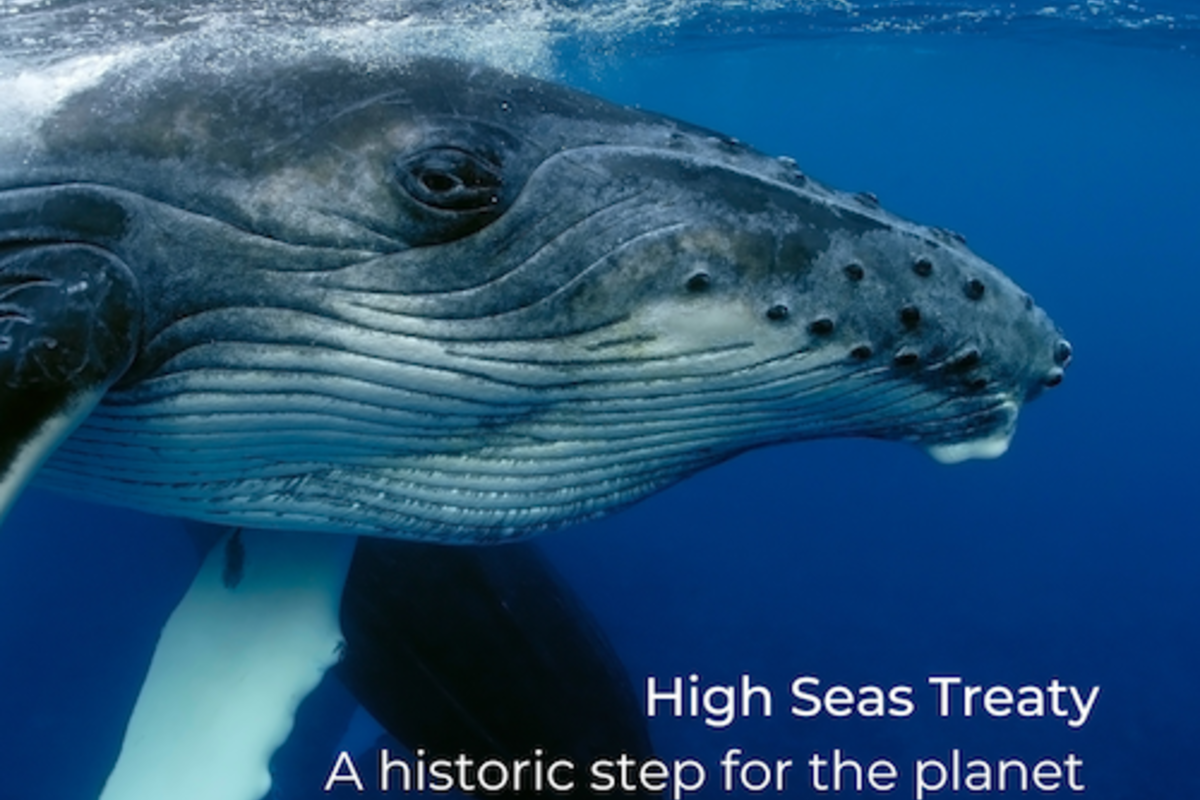 High Seas Treaty, A historic step forward in safeguarding international waters