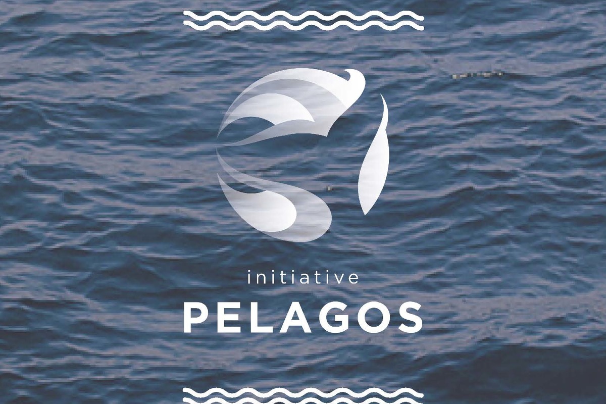 The Pelagos Initiative and its next call for projects: Webinar on 19 May at 3pm (CET)