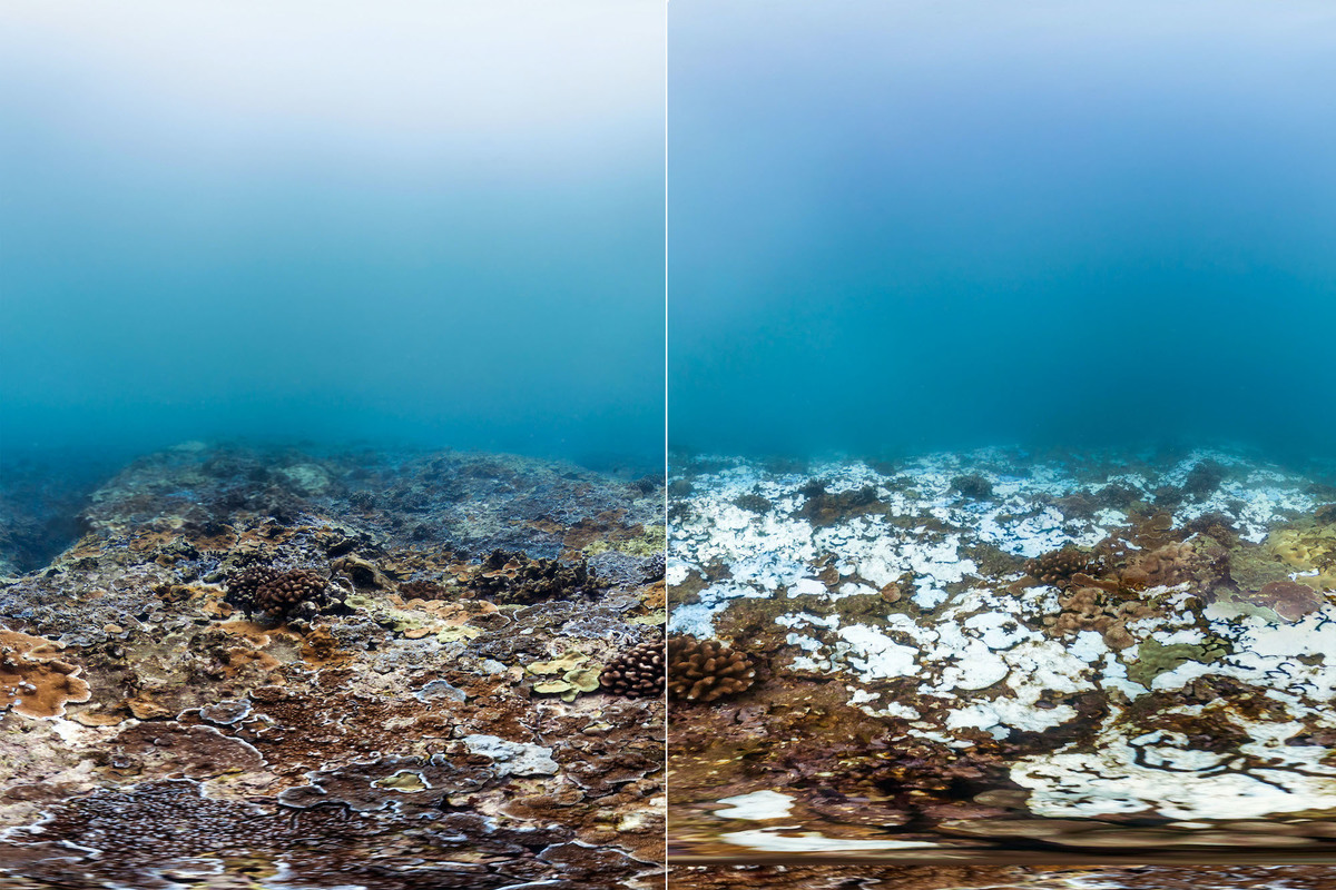 Monaco, Australia and Indonesia handed over the International Coral Reef Initiative (ICRI) Secretariat to the United States of America