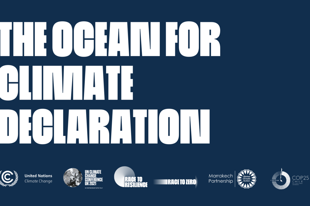 OP-ED: What if a healthy ocean were our best ally against climate change?