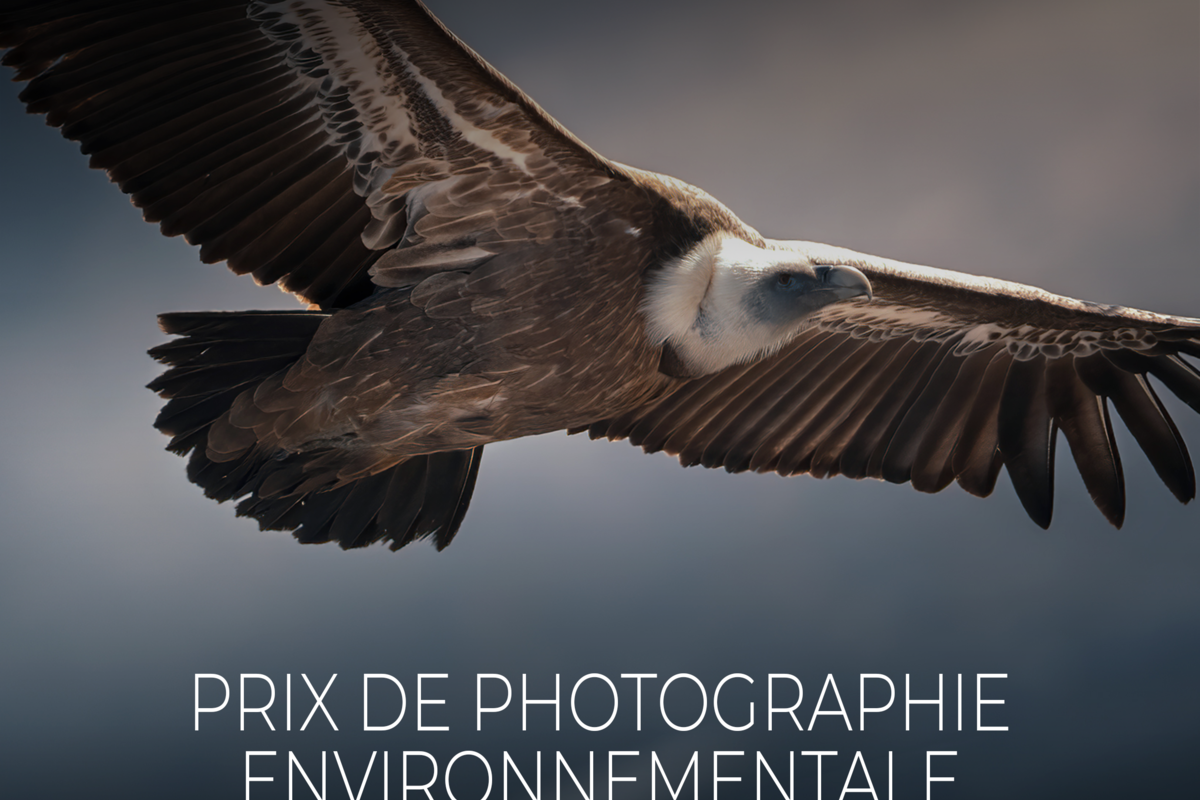 Launch of the 2nd Edition of the Prince Albert II of Monaco Foundation’s Environmental Photography Award