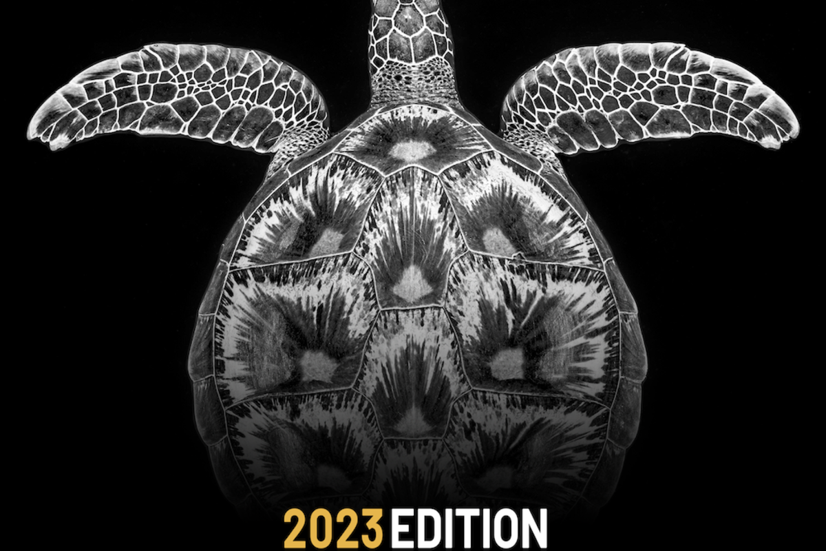 Lancement de la 3e édition du Prix de Photographie Environnementale de la Fondation Prince Albert II de Monaco