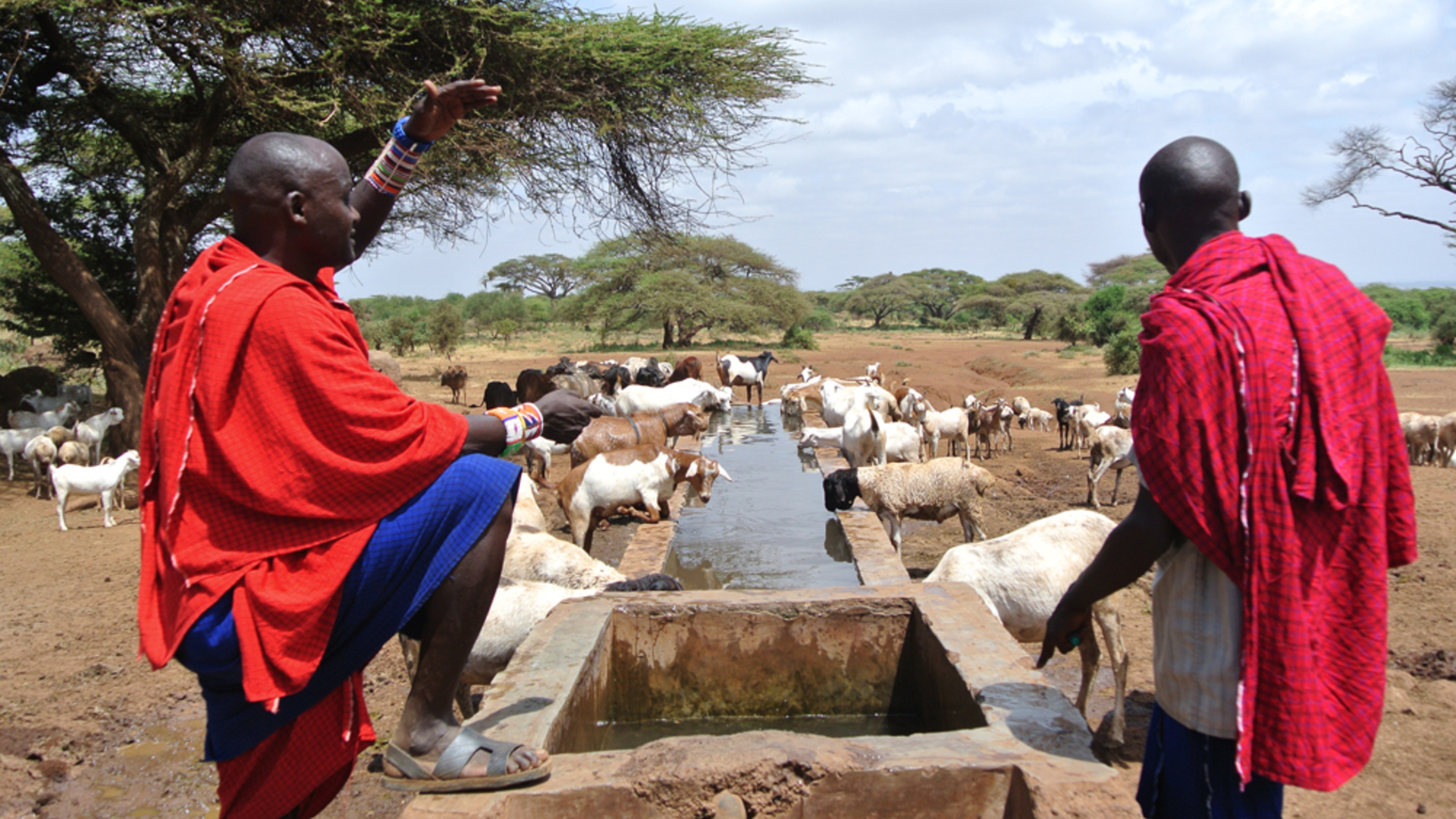 Initiative de suivi et d'évaluation hydrologique dans le sanctuaire de Lewa-Borana