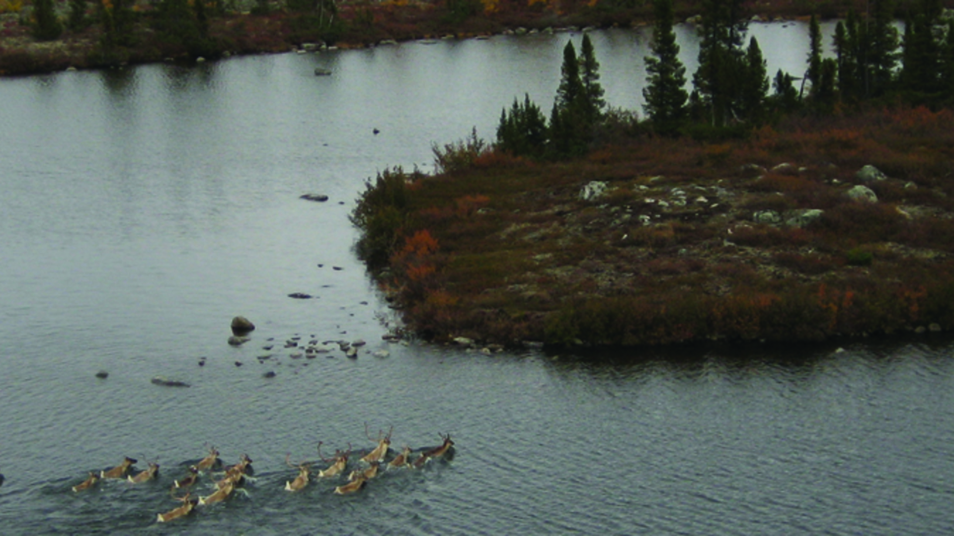 Atlas des points chauds de la biodiversité pour le Québec Nordique