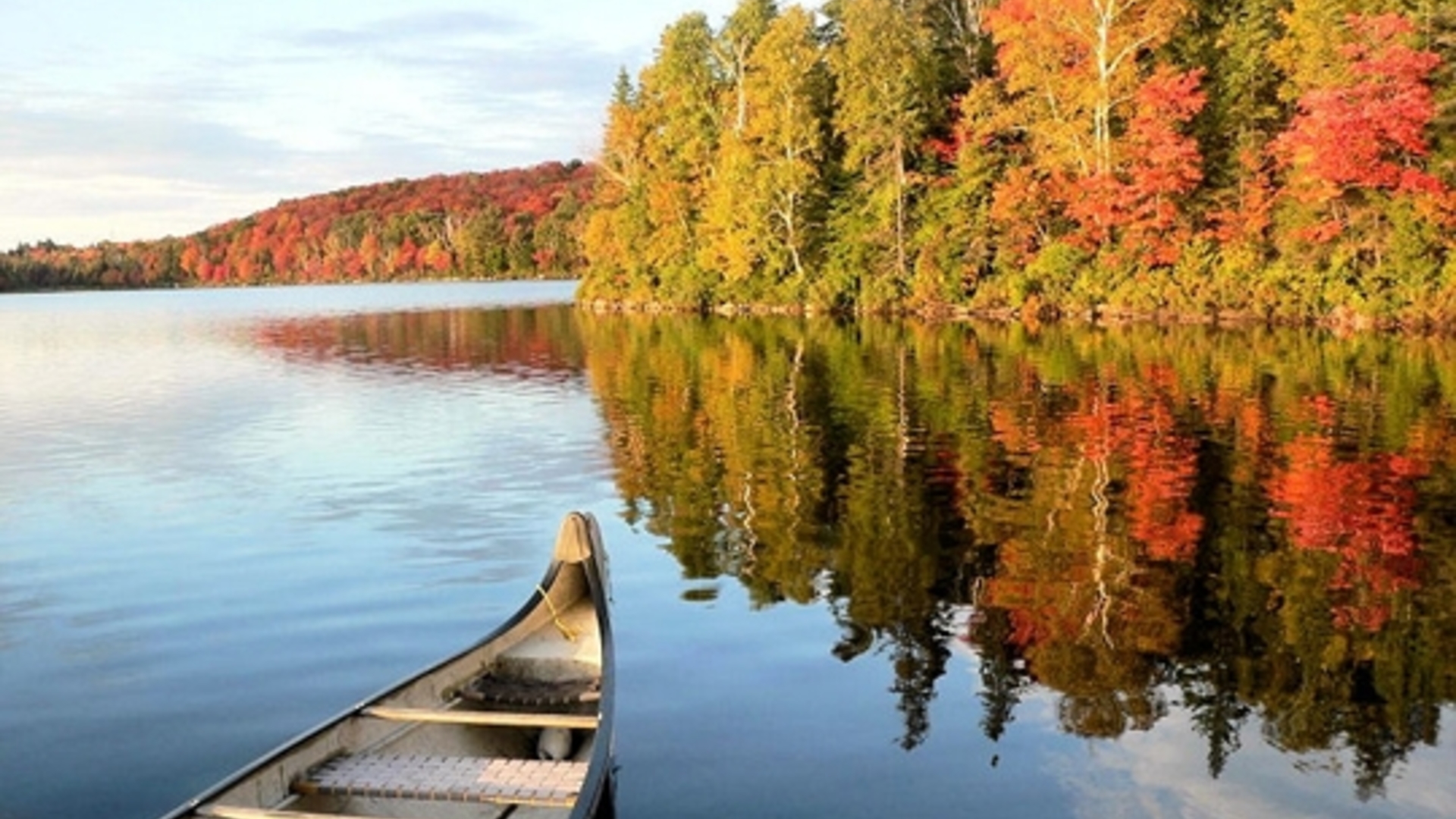 International campaign for the Conservation of the Boreal Forest