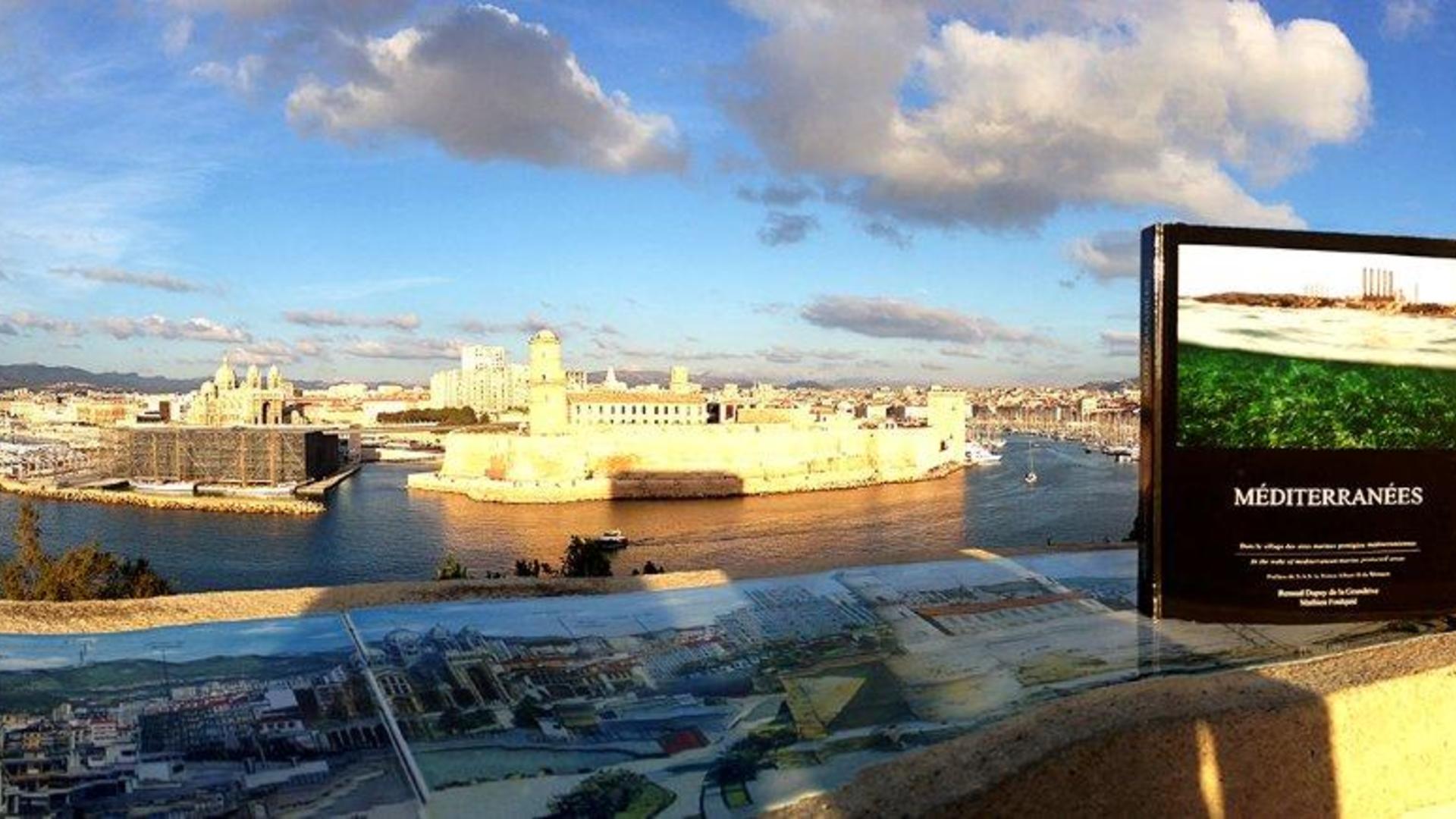 Découvrir autrement : faune et flore sous-marines de la Méditerranée