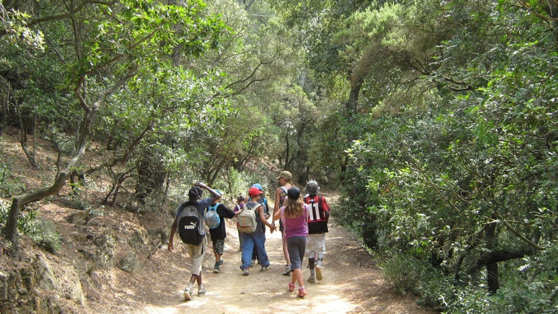 Supporting research and strengthening knowledge of the Port-Cros National Park and Pelagos Sanctuary territory - Research phase