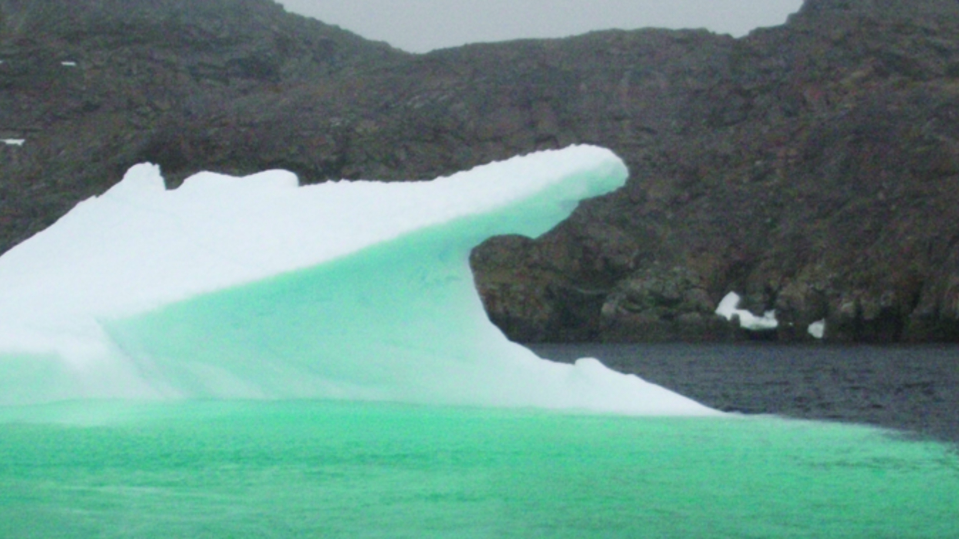 Gestion écosystémique de l'environnement marin arctique