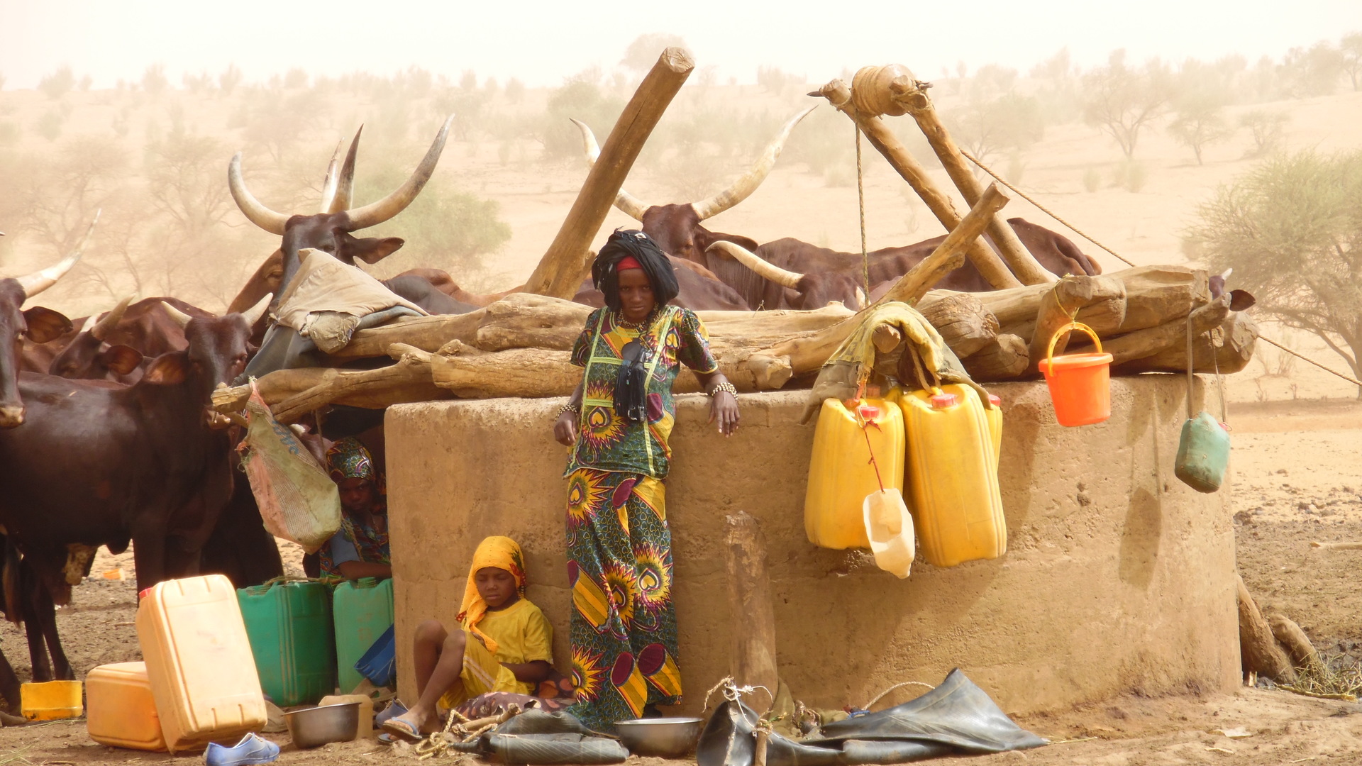 Pastoral monitoring system in Sub-Saharan Africa