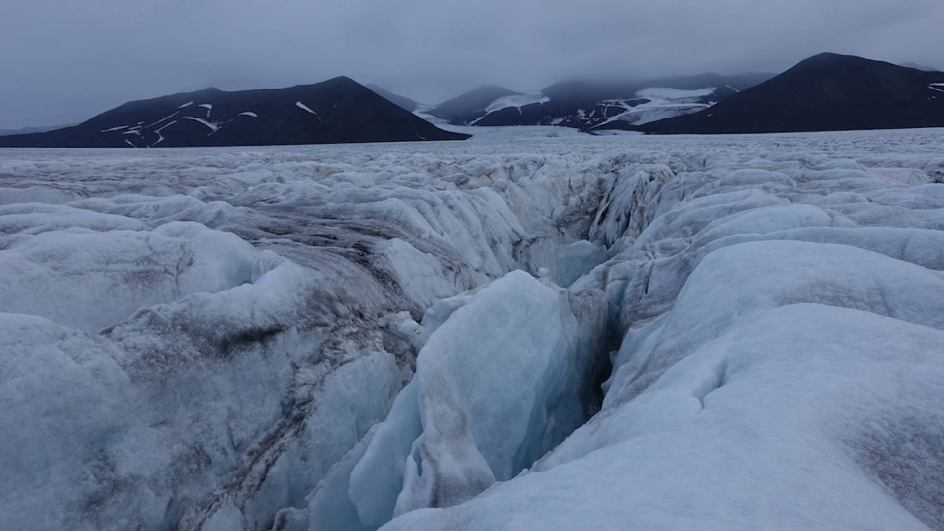 Southeastern Spitsbergen landscape-seascape and biodiversity dynamics under current climate warning.