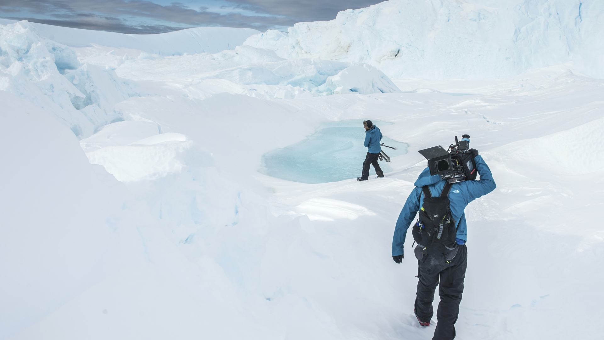 Wild Touch Expeditions : Antartica !