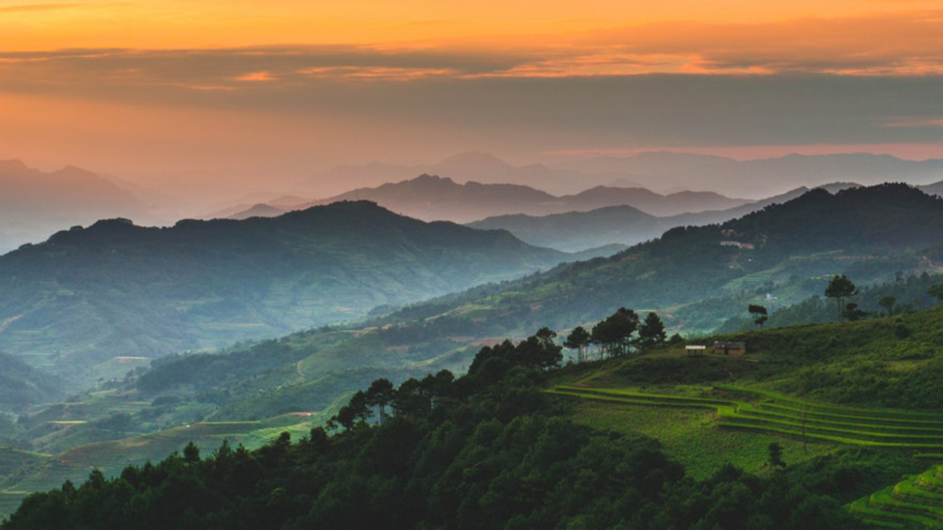 Conservation transfrontière de la biodiversité à la frontière sino-vietnamienne