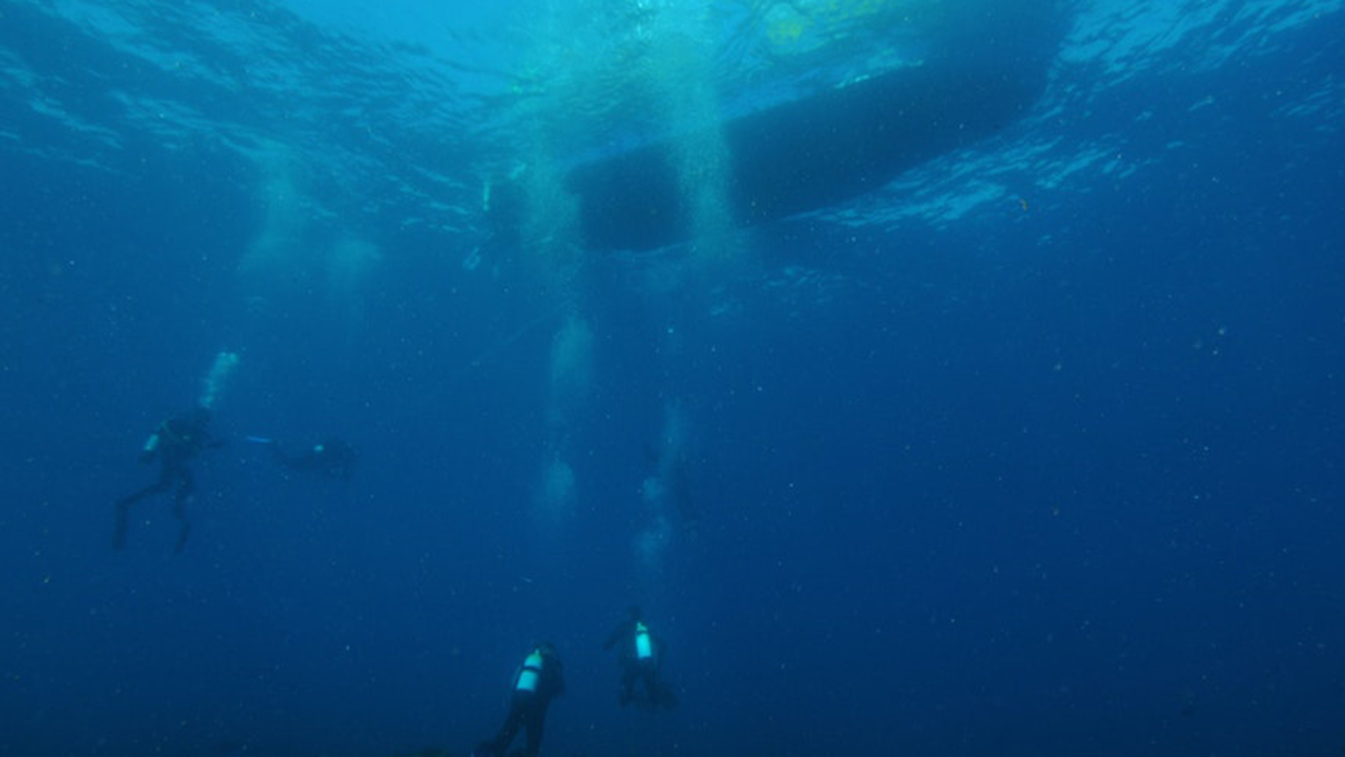 Monitoring of the posidonia medow in Corsica