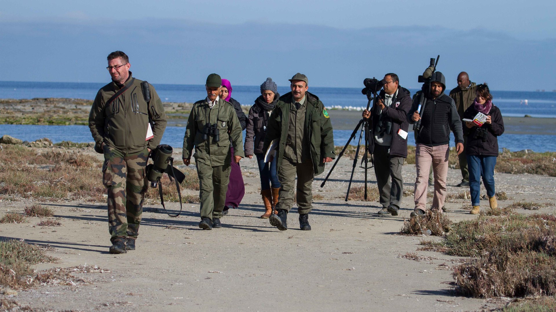 Observatory of mediterraneans wetlands