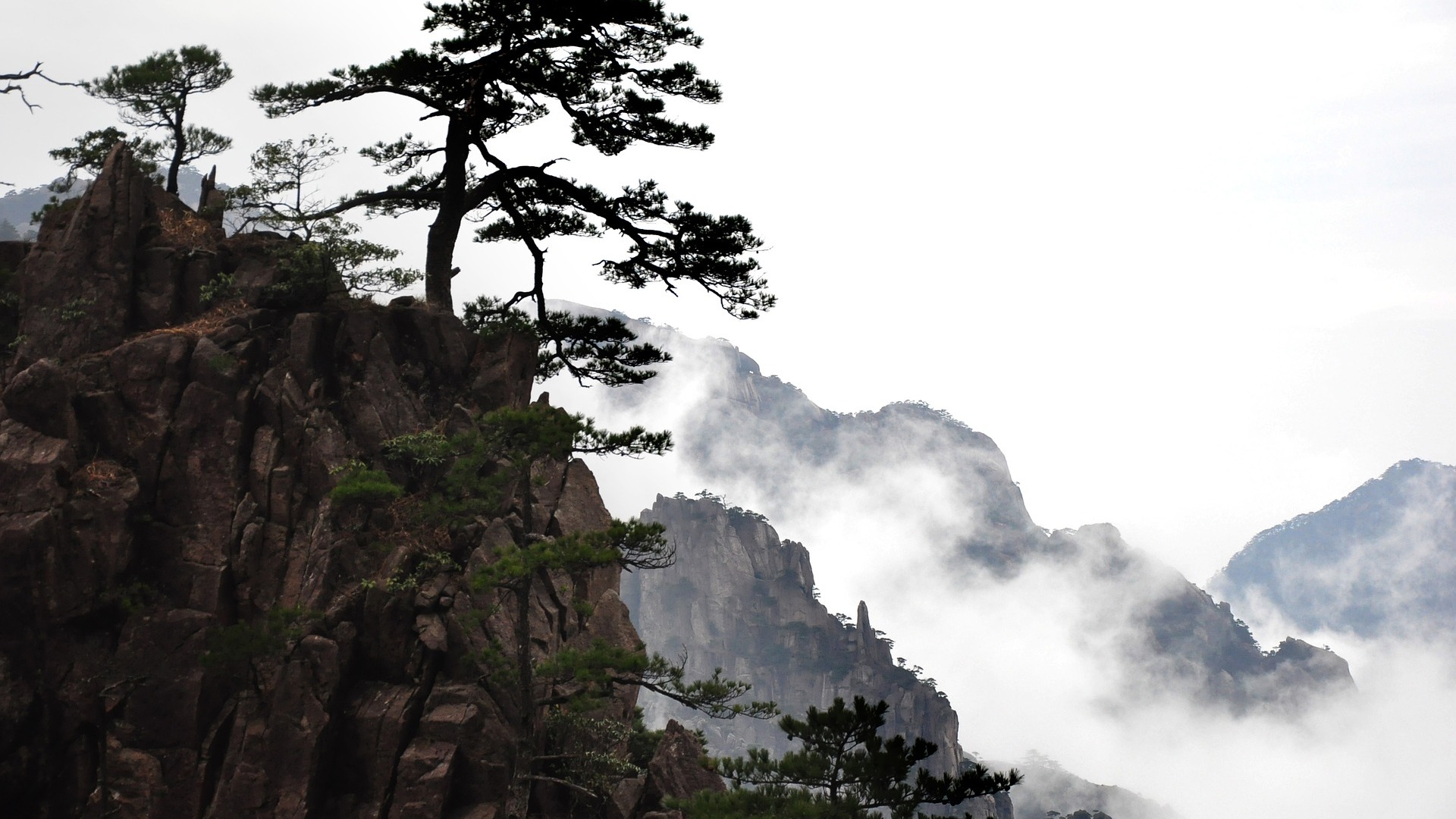 Conservation transfrontalière d'habitats et d'espèces vulnérables dans la région frontalière sino-vietnamienne sous l'effet du changement climatique