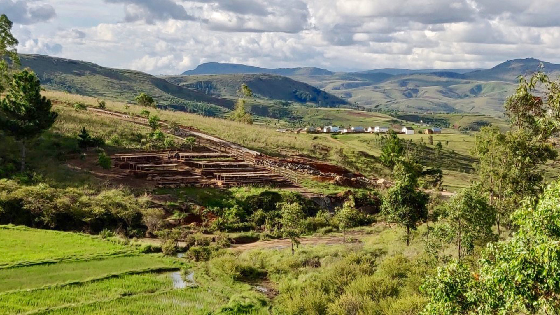 Reforestation around and inside the village of Antolojanahary of Father Pedro