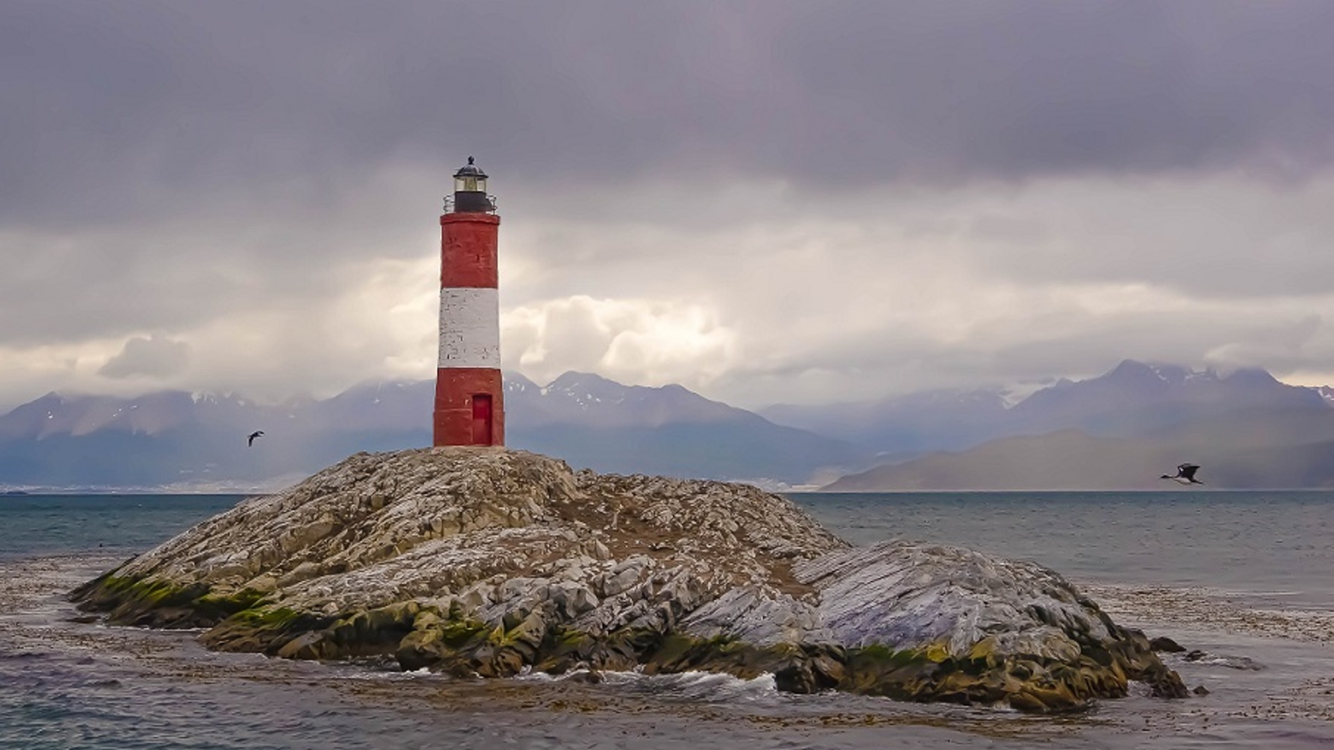 Impacts de l'Acidification des Océans et de l'Hypoxie sur les Ecosystèmes Marins Côtiers des Hautes Latitudes : Le Cas du Canal Beagle 