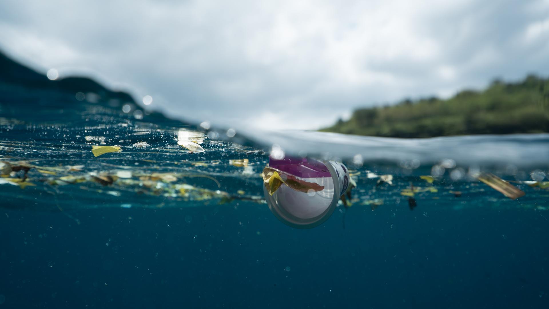 Organisation d'une conférence sur les déchets aquatiques