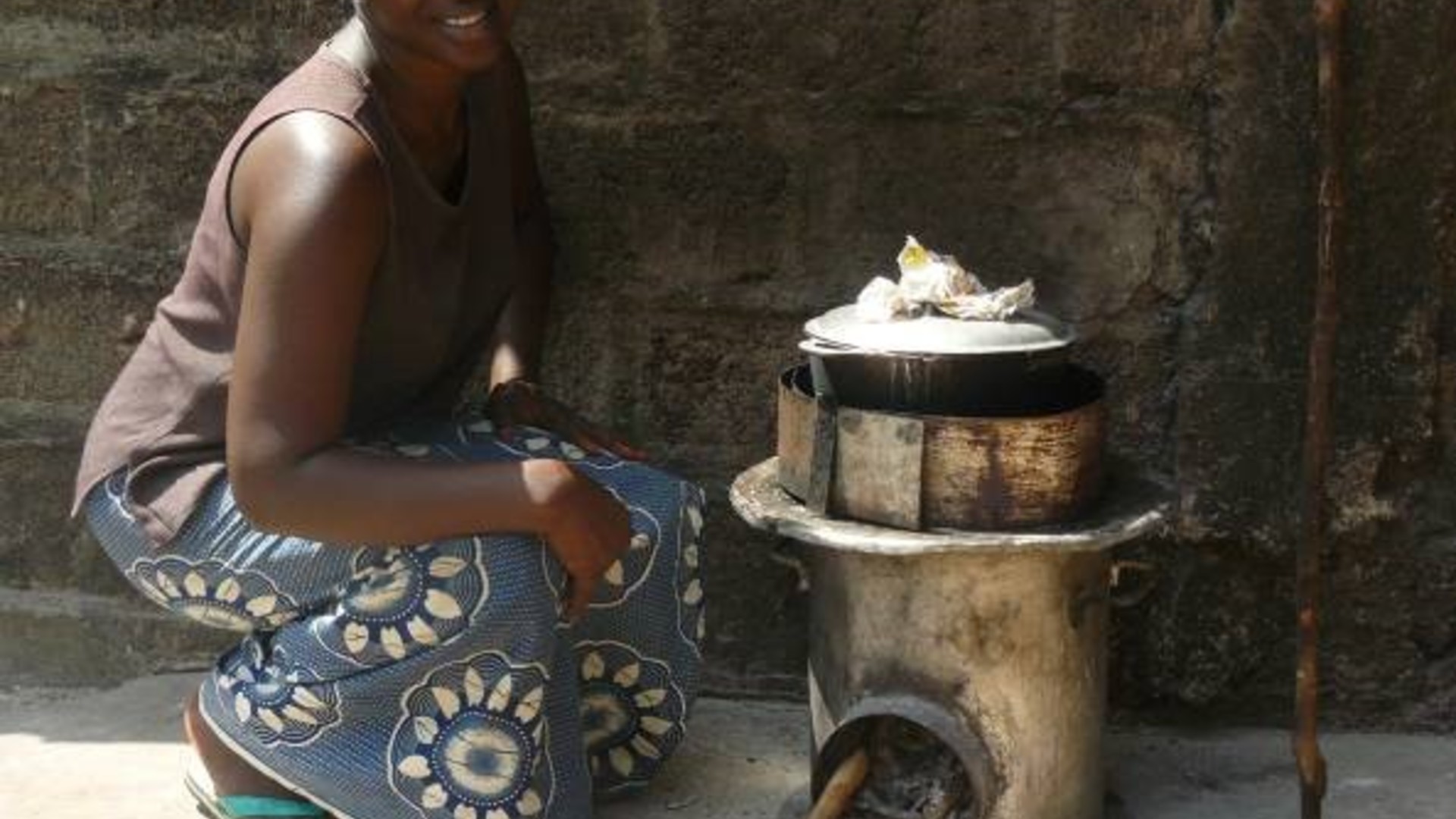 Promoting and perpetuation of a commercial production chain for an energy-efficient cooker in Republic of Guinea