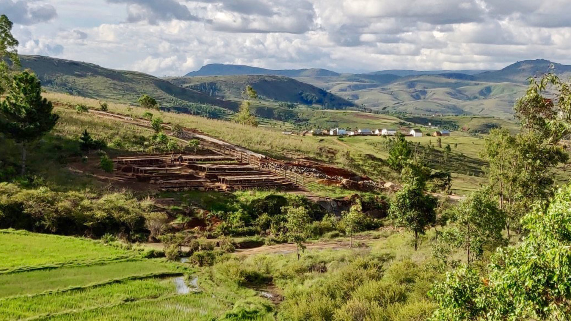 Reforestation dans et autour du village d’Antolojanahary du Père Pedro