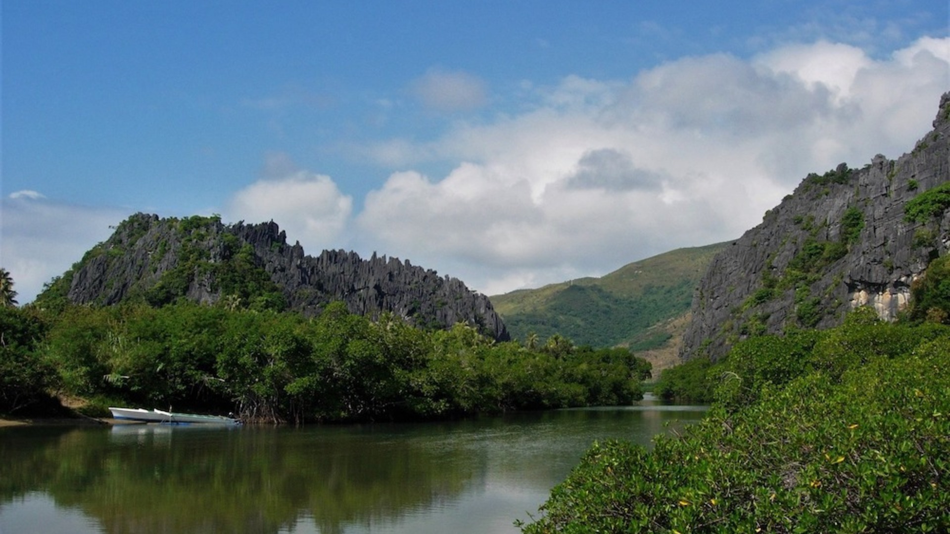 Restoration of the coastal forests of the Forgotten Coast of New Caledonia