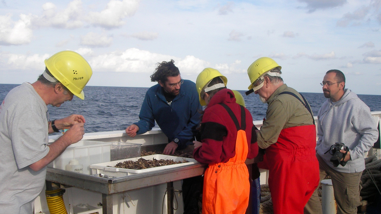 Réponse des coraux de Méditerranée face aux changements planétaires