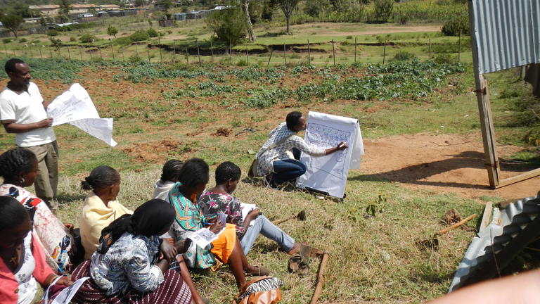Ecosystem rehabilitation in Ewaso Ngiro, Kenya