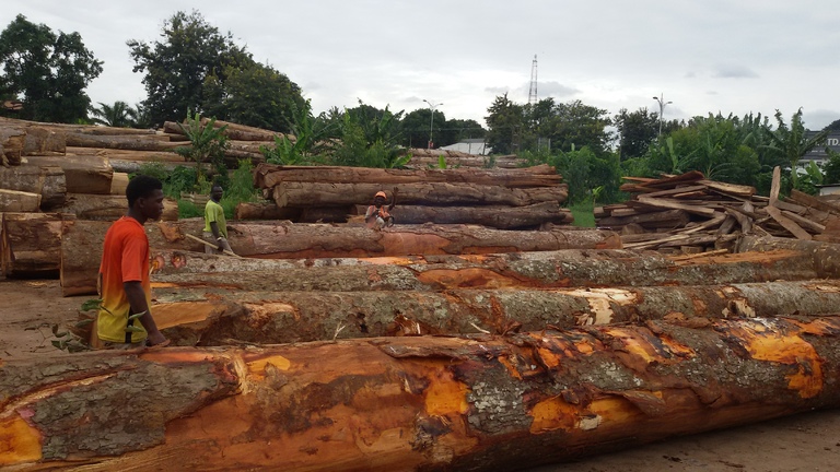 Developing DNA timber tracking tools for African mahogany and a conservation strategy for Khaya senegalensis in West Africa