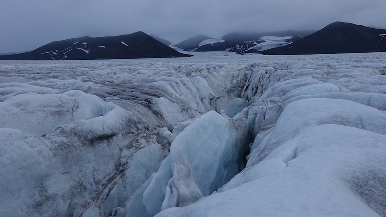 Southeastern Spitsbergen landscape-seascape and biodiversity dynamics under current climate warning.